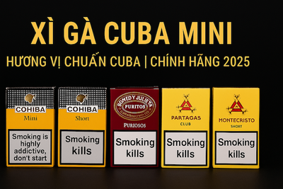 XÌ GÀ CUBA MINI [TOP 2025]: Giá & Review Cohiba Short, Montecristo – Đẳng Cấp Thượng Thừa