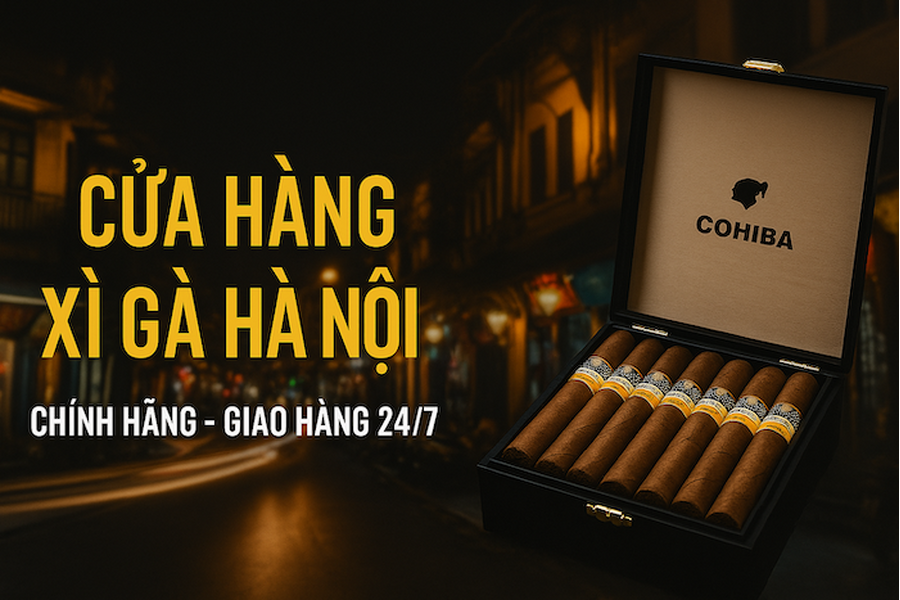 CỬA HÀNG XÌ GÀ HÀ NỘI UY TÍN [TOP 5]: Địa Chỉ & Hướng Dẫn Mua Xì Gà Chính Hãng