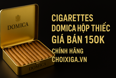 Cg Domica Là Gì? Giá Domica & Địa Chỉ Mua Thuốc Lá Domica Bình Dương Chính Hãng