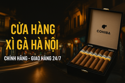 CỬA HÀNG XÌ GÀ HÀ NỘI UY TÍN [TOP 5]: Địa Chỉ & Hướng Dẫn Mua Xì Gà Chính Hãng
