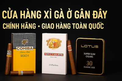 CỬA HÀNG XÌ GÀ Ở GẦN ĐÂY NHẤT: Địa Chỉ, Giá & Dịch Vụ Giao Hàng Siêu Tốc (HN & HCM)