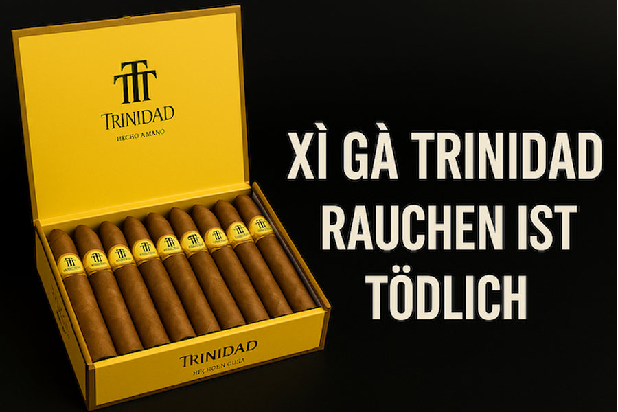 Xì Gà Rauchen ist tödlich | Ý Nghĩa, Giá Bán & Cách Mua Chính Hãng 2025