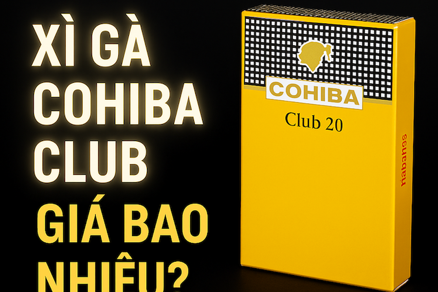 Khám Phá Xì Gà Cohiba Club: Bảng Giá Xì Gà Cohiba Club Mới Nhất & Địa Chỉ Mua Uy Tín
