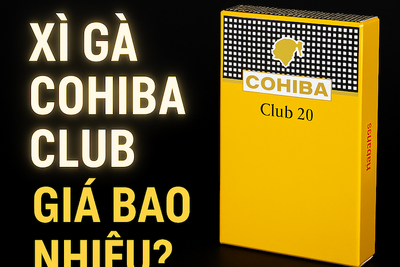Khám Phá Xì Gà Cohiba Club: Bảng Giá Xì Gà Cohiba Club Mới Nhất & Địa Chỉ Mua Uy Tín