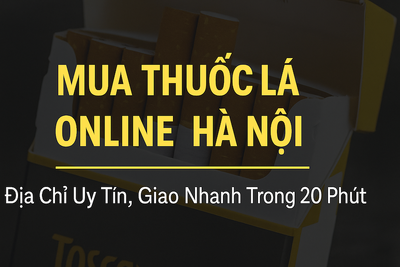 Mua Thuốc Lá Online Hà Nội Uy Tín - Xì Gà Ngoại Nhập Giá Tốt thegioicigar