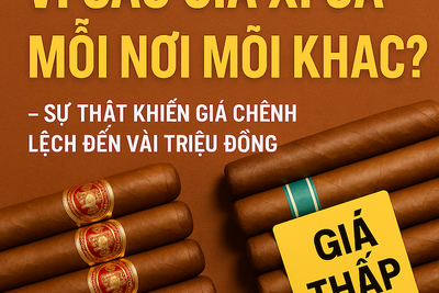 Shop Xì Gà No1 Hà Nội: Địa Chỉ Uy Tín Cho Các Dòng Xì Gà Cuba, Dominican