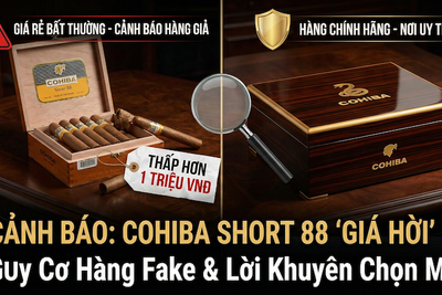Cohiba Short 88 Year Of The Snake Giá Rẻ: Cảnh Báo Hàng Giả & Cách Chọn Nơi Mua Uy Tín
