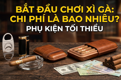 Chi Phí Bắt Đầu Chơi Xì Gà Là Bao Nhiêu? Phụ Kiện Tối Thiểu 2026