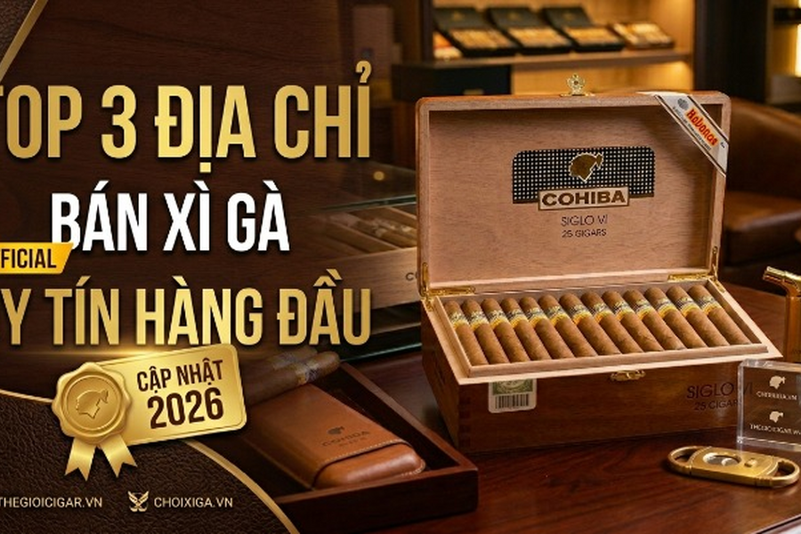 Top 3 Địa Chỉ Bán Xì Gà Uy Tín Tại Hà Nội Và TP.HCM (Cập Nhật 2026)