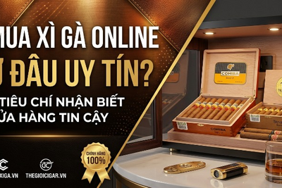 Mua Xì Gà Online Ở Đâu Uy Tín? 5 Tiêu Chí Nhận Biết Cửa Hàng Cigar Đáng Tin Cậy