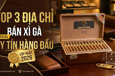 Top 3 Địa Chỉ Bán Xì Gà Uy Tín Tại Hà Nội Và TP.HCM (Cập Nhật 2026)