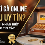 Mua Xì Gà Online Ở Đâu Uy Tín? 5 Tiêu Chí Nhận Biết Cửa Hàng Cigar Đáng Tin Cậy