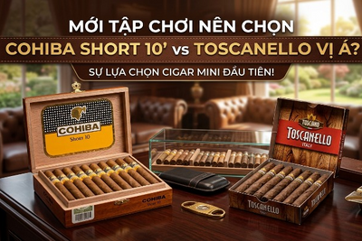 Mới Tập Chơi Nên Chọn Cohiba Short 10 Hay Toscanello ?