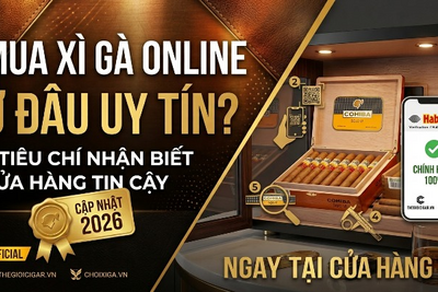 Check-list 5 Bước Kiểm Tra Hộp Cigar Cuba Thật - Giả Ngay Tại Cửa Hàng