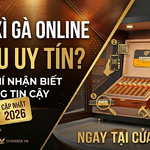 Check-list 5 Bước Kiểm Tra Hộp Cigar Cuba Thật - Giả Ngay Tại Cửa Hàng