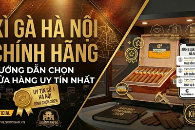 Xì Gà Hà Nội Chính Hãng - Cửa Hàng Cigar Uy Tín Số 1 Thủ Đô