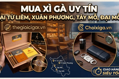 Mua Xì Gà Uy Tín Tại Từ Liêm, Xuân Phương, Tây Mỗ, Đại Mỗ