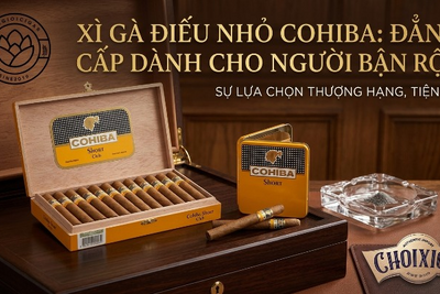 Xì Gà Điếu Nhỏ Cohiba Chính Hãng | Giá Tốt Nhất Tại Hà Nội