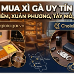 Mua Xì Gà Uy Tín Tại Từ Liêm, Xuân Phương, Tây Mỗ, Đại Mỗ