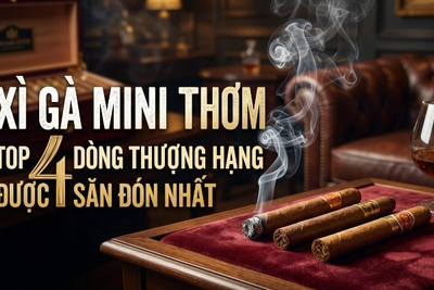 Xì Gà Mini Thơm: Top 4 Dòng Thượng Hạng Được Săn Đón Nhất
