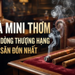 Xì Gà Mini Thơm: Top 4 Dòng Thượng Hạng Được Săn Đón Nhất