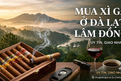 Mua Xì Gà Ở Đà Lạt Lâm Đồng - Địa Chỉ Chính Hãng Uy Tín Nhất