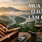 Mua Xì Gà Ở Đà Lạt Lâm Đồng - Địa Chỉ Chính Hãng Uy Tín Nhất