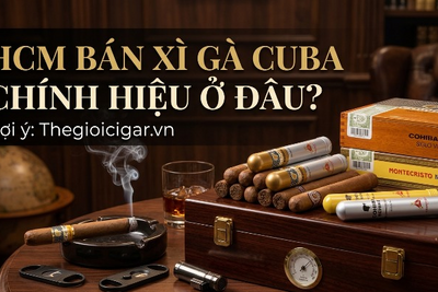 Hcm Bán Xì Gà Cuba Chính Hiệu Ở Đâu?