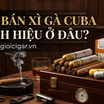 Hcm Bán Xì Gà Cuba Chính Hiệu Ở Đâu?
