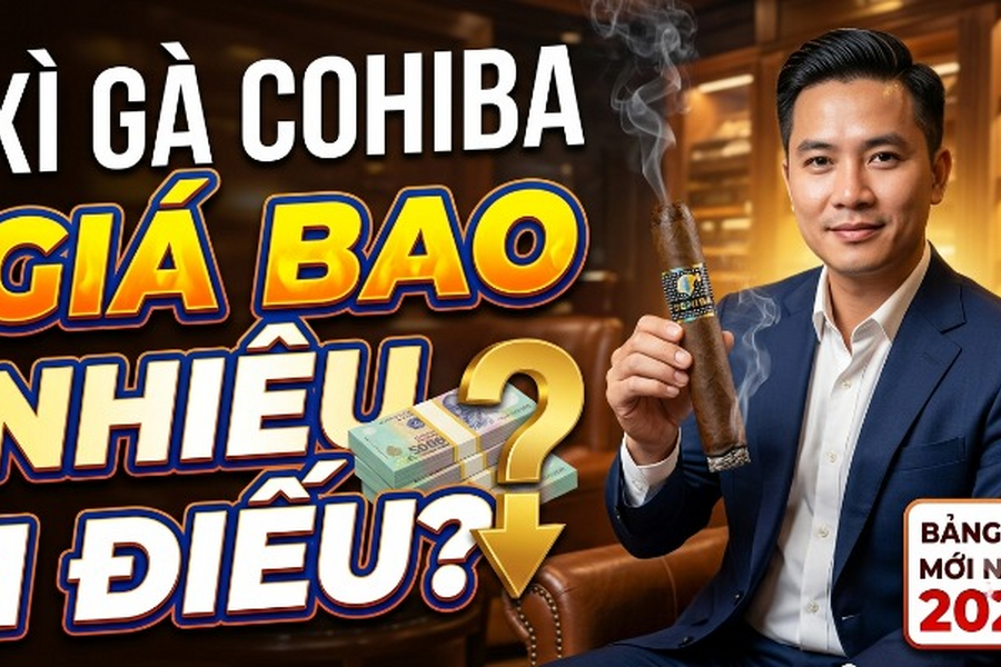 Xì Gà Cohiba Giá Bao Nhiêu 1 Điếu
