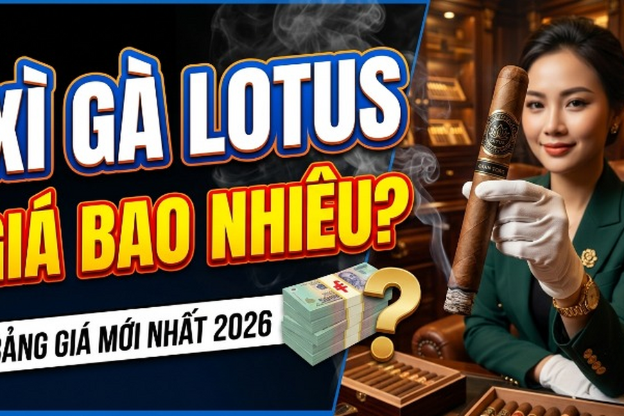 Xì Gà Lotus Giá Bao Nhiêu? Bảng Giá Mới Nhất 2026