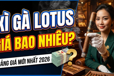 Xì Gà Lotus Giá Bao Nhiêu? Bảng Giá Mới Nhất 2026