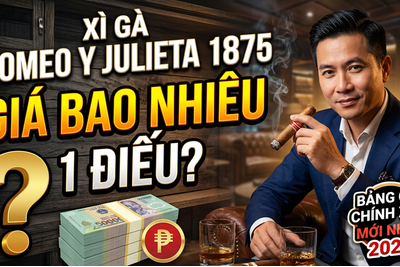 Xì Gà Romeo Y Julieta 1875 Giá Bao Nhiêu? Bảng Giá Mới Nhất 2026