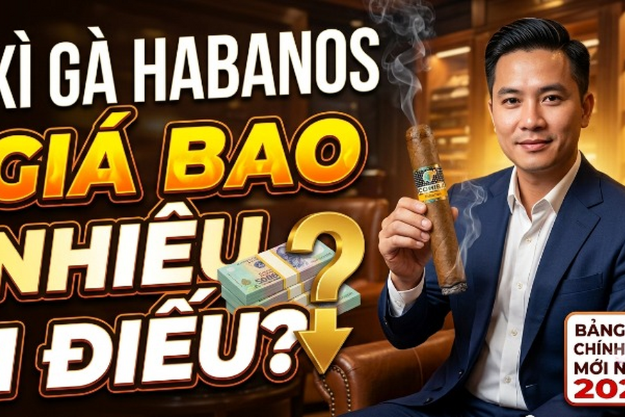 Xì Gà Habanos Giá Bao Nhiêu? Bảng Giá Mới Nhất 2026