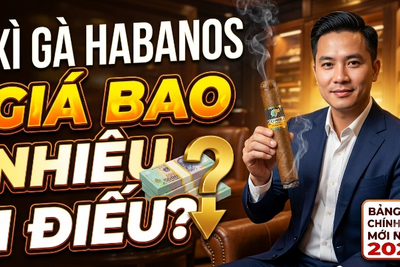 Xì Gà Habanos Giá Bao Nhiêu? Bảng Giá Mới Nhất 2026