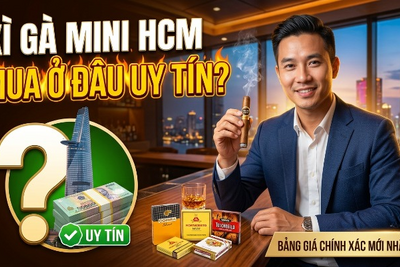 Xì Gà Mini HCM: Mua Ở Đâu Uy Tín, Nhiều Mẫu Mã, Giao Nhanh?