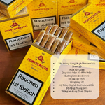 Đánh Giá Xì Gà Montecristo Mini & Short 10: Tiện Lợi, Giá Tốt