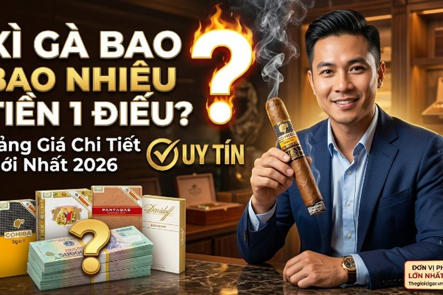 Xì Gà Khác Gì Thuốc Lá? Giá Bao Nhiêu Tiền Một Điếu Mới Nhất 2026