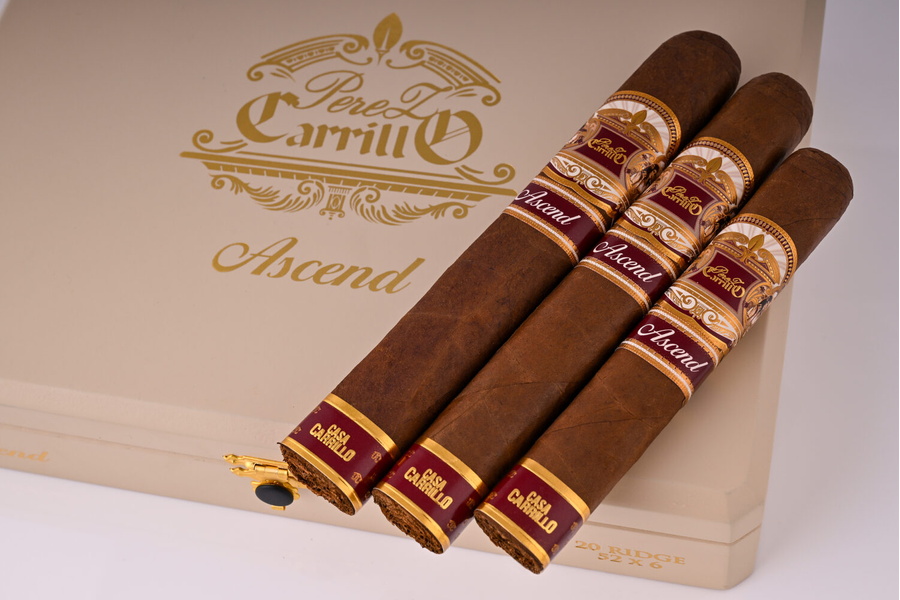 Casa Carrillo bắt đầu vận chuyển Perez-Carrillo lên ngôi