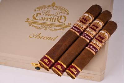 Casa Carrillo bắt đầu vận chuyển Perez-Carrillo lên ngôi