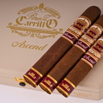 Casa Carrillo bắt đầu vận chuyển Perez-Carrillo lên ngôi