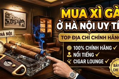Mua Xì Gà Ở Hà Nội Uy Tín: Top Địa Chỉ Chính Hãng &amp; Cigar Lounge