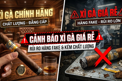 Cảnh Báo Xì Gà Giá Rẻ: Rủi Ro Hàng Fake &amp; Kém Chất Lượng 2026