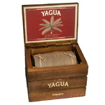 Yagua Robusto sẽ ra mắt vào tuần tới