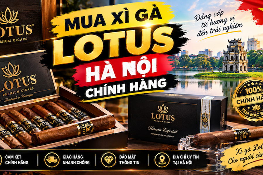 Mua Xì Gà Lotus Hà Nội Chính Hãng | Bảng Giá Mới Nhất 2026