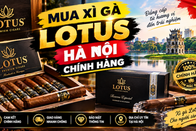 Mua Xì Gà Lotus Hà Nội Chính Hãng | Bảng Giá Mới Nhất 2026