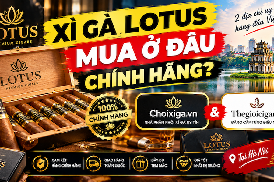 Xì Gà Lotus Mua Ở Đâu Chính Hãng? Giao Ngay Tại HN & TPHCM