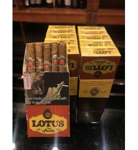 Xì Gà Lotus Short - Hộp 10 điếu