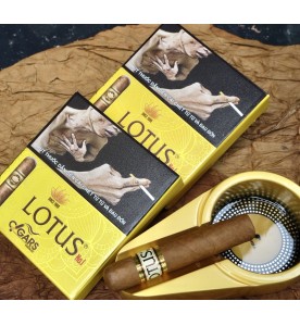 Xì Gà Lotus N01 - Hộp 5 điếu