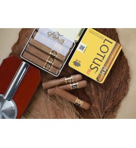 Xì Gà Lotus N02 - Hộp 5 điếu